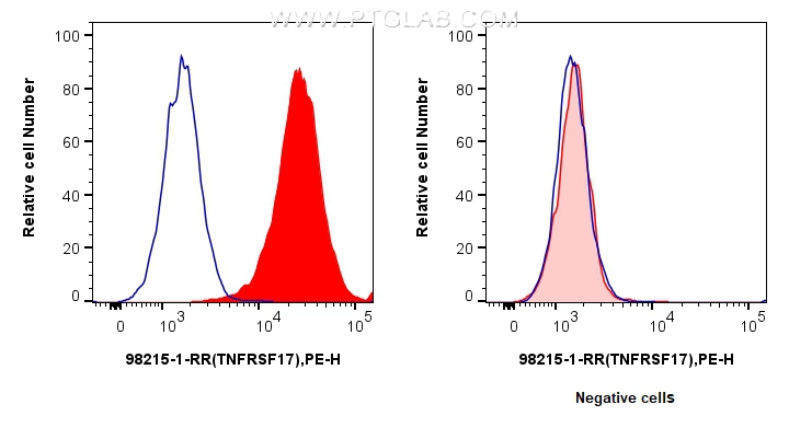 Flow cytometry (FC) experiment of U266 cells using Anti-Human BCMA/TNFRSF17 Rabbit Recombinant Antibo (98215-1-RR)