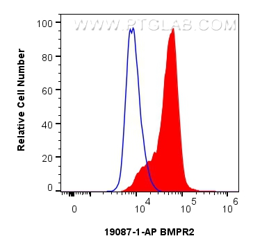 Flow cytometry (FC) experiment of PC-3 cells using BMPR2 Polyclonal antibody (19087-1-AP)