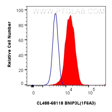 Flow cytometry (FC) experiment of HeLa cells using CoraLite® Plus 488-conjugated BNIP3L Monoclonal an (CL488-68118)