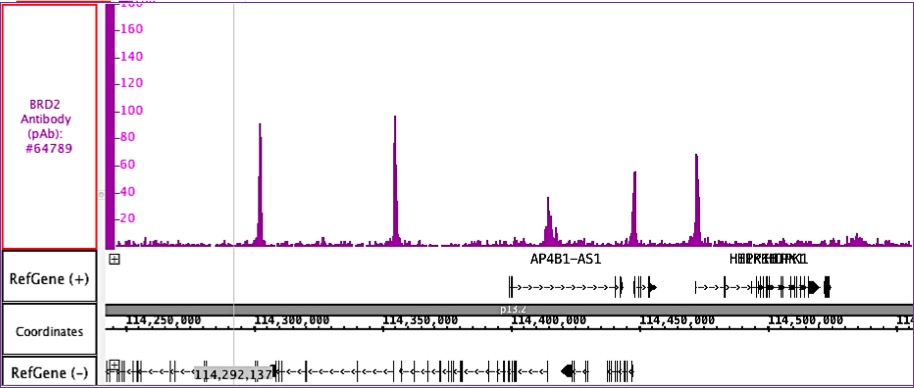 ChIP-Seq of BRD2 antibody (pAb). ChIP was performed using BRD2 polyclonal antibody with 30 ug chromatin from the DHL4 cell line and 6 ul of antibody. ChIP DNA was sequenced on the Illumina HiSeq and 16 million sequence tags were mapped to identify BRD2 binding sites. The image shows binding across a region of chromosome 1.