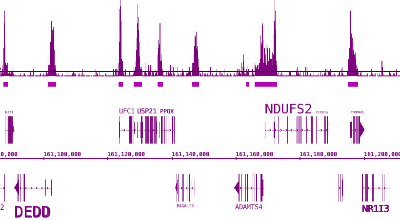 BRD3 antibody (pAb) tested by ChIP-Seq. ChIP was performed using the ChIP-IT High Sensitivity Kit (Cat. No. 53040) with 30 ug of chromatin from human H526 cells and 10 ul of antibody. ChIP DNA was sequenced on the Illumina HiSeq and 16 million sequence tags were mapped to show the expected promoter localization.