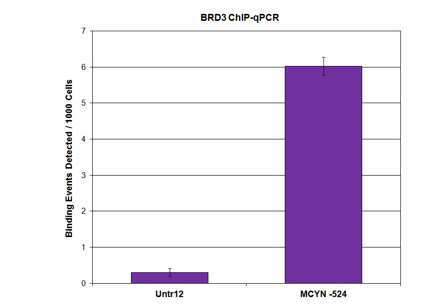 BRD3 antibody (pAb) tested by ChIP. Chromatin immunoprecipitation (ChIP) was performed using the ChIP-IT High Sensitivity Kit (Cat. No. 53040) with 30 ug of chromatin from human H526 cells and 10 ul BRD3 antibody. ChIP DNA was used in qPCR with the control primer or gene-specific primer as indicated. Data are presented as Binding Events Detected per 1000 Cells using Active Motif's Epigenetic Services normalization scheme which accounts for primer efficiency and the amount of chromatin used in the ChIP reaction.