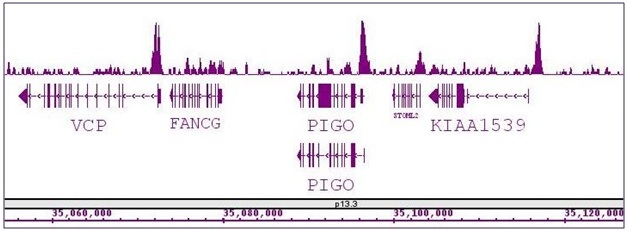 BRD8 / SMAP2 antibody (pAb) tested by ChIP-Seq. ChIP was performed using the ChIP-IT High Sensitivity Kit (Cat. No. 53040) with 30 ug of chromatin from an adenocarcinoma cell line and 10 ul of antibody. ChIP DNA was sequenced on the Illumina HiSeq and 20 million sequence tags were mapped to identify BRD8 / SMAP2 binding sites. The image shows binding across a region of chromosome 9. You can view the complete data set in the UCSC Genome Browser, starting at this specific location, here.