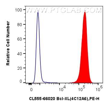 Flow cytometry (FC) experiment of Jurkat cells using CoraLite®555-conjugated Bcl-XL Monoclonal antibody (CL555-66020)