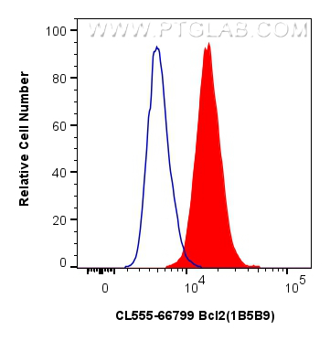 Flow cytometry (FC) experiment of NIH/3T3 cells using CoraLite®555-conjugated Bcl2 Monoclonal antibody (CL555-66799)