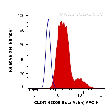 Flow cytometry (FC) experiment of HeLa cells using CoraLite® Plus 647-conjugated Beta Actin Monoclona (CL647-66009)