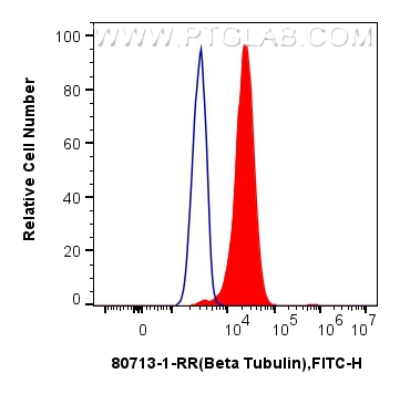 Flow cytometry (FC) experiment of HEK-293 cells using Beta Tubulin Recombinant antibody (80713-1-RR)
