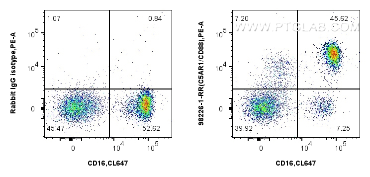 Flow cytometry (FC) experiment of human peripheral blood leukocytes using Anti-Human C5AR1/CD88 Rabbit Recombinant Antibody (98226-1-RR)