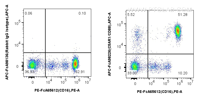 Flow cytometry (FC) experiment of human peripheral blood leukocytes using FcZero-rAb™ APC Anti-Human C5AR1/CD88 Rabbit Recom (APC-FcA98226)