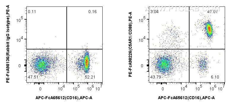 Flow cytometry (FC) experiment of human peripheral blood leukocyte using FcZero-rAb™ PE Anti-Human C5AR1/CD88 Rabbit Recomb (PE-FcA98226)