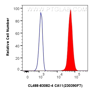 Flow cytometry (FC) experiment of A431 cells using CoraLite® Plus 488-conjugated CA11 Recombinant ant (CL488-83082-4)