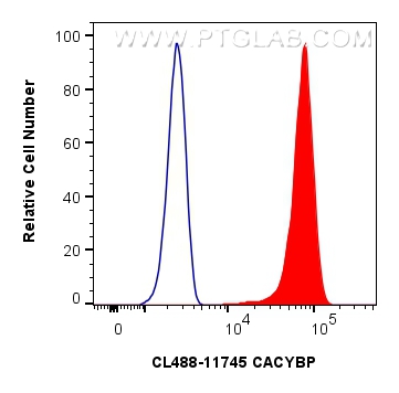 Flow cytometry (FC) experiment of HEK-293 cells using CoraLite® Plus 488-conjugated CACYBP Polyclonal an (CL488-11745)