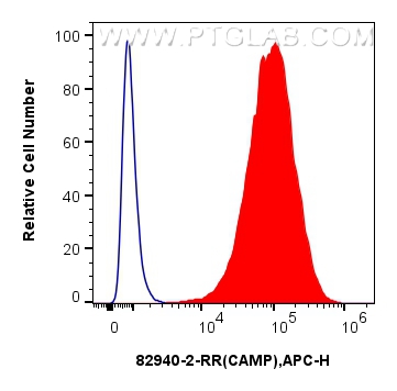 Flow cytometry (FC) experiment of MCF-7 cells using CAMP Recombinant antibody (82940-2-RR)