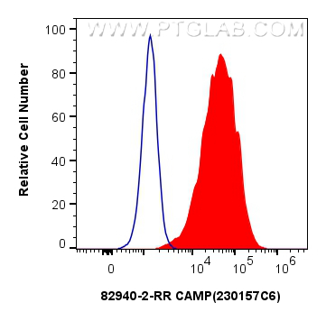 Flow cytometry (FC) experiment of Hela cells using CAMP Recombinant antibody (82940-2-RR)