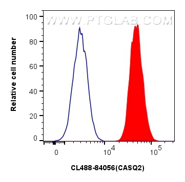 Flow cytometry (FC) experiment of A549 cells using CoraLite® Plus 488-conjugated CASQ2 Recombinant an (CL488-84056-6)