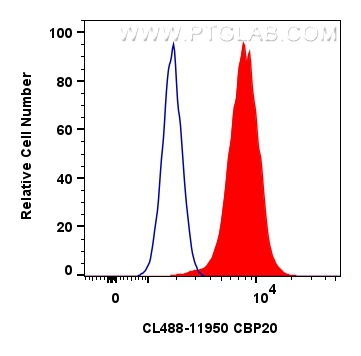 Flow cytometry (FC) experiment of HeLa cells using CoraLite® Plus 488-conjugated CBP20 Polyclonal ant (CL488-11950)