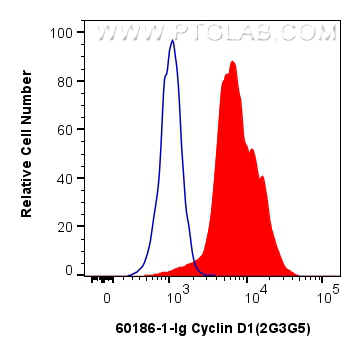 Flow cytometry (FC) experiment of SH-SY5Y cells using Cyclin D1 Monoclonal antibody (60186-1-Ig)