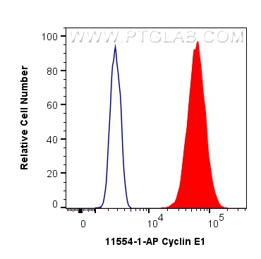 Flow cytometry (FC) experiment of MCF-7 cells using Cyclin E1 Polyclonal antibody (11554-1-AP)