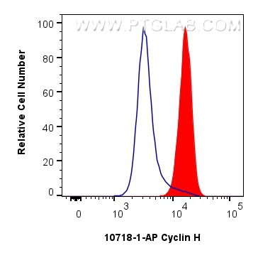 Flow cytometry (FC) experiment of A431 cells using Cyclin H Polyclonal antibody (10718-1-AP)