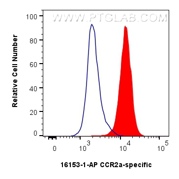 Flow cytometry (FC) experiment of Jurkat cells using CCR2a-specific Polyclonal antibody (16153-1-AP)