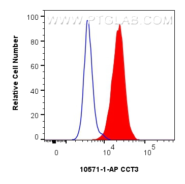 Flow cytometry (FC) experiment of HepG2 cells using CCT3 Polyclonal antibody (10571-1-AP)