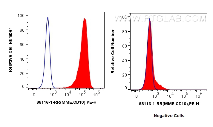 Flow cytometry (FC) experiment of Reh cells using Anti-Human Neprilysin/CD10 Rabbit Recombinant Anti (98116-1-RR)