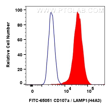 Flow cytometry (FC) experiment of HeLa cells using FITC Plus Anti-Human CD107a / LAMP1 (H4A3) (FITC-65051)