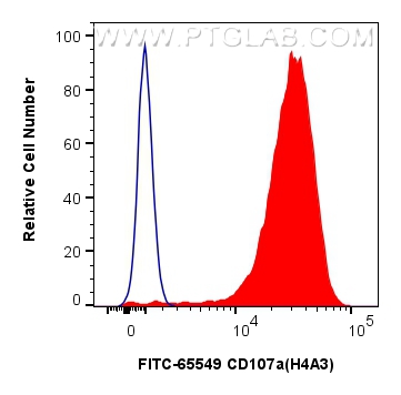Flow cytometry (FC) experiment of jurkat cells using FITC Plus Anti-Human CD107a (H4A3) Rabbit Recombin (FITC-65549)