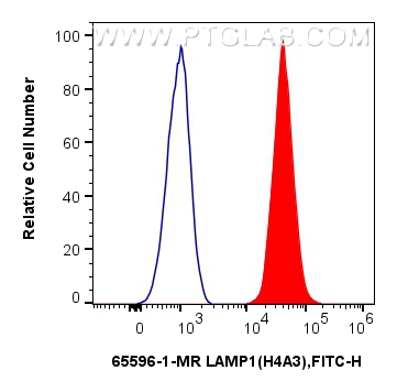 Flow cytometry (FC) experiment of Jurkat cells using Anti-Human CD107a / LAMP1 (H4A3) Mouse IgG2a Recom (65596-1-MR)