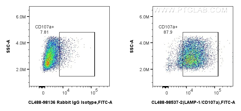 Flow cytometry (FC) experiment of mouse peritoneal macrophages using CoraLite® Plus 488 Anti-Mouse CD107a / LAMP1 Rabbi (CL488-98537-2)