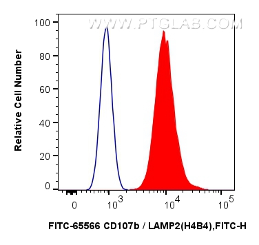 Flow cytometry (FC) experiment of Jurkat cells using FITC Plus Anti-Human CD107b / LAMP2 (H4B4) Mouse I (FITC-65566)