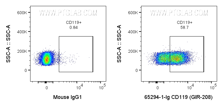 CD119 / IFN-gamma R1