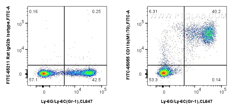 Flow cytometry (FC) experiment of mouse bone marrow cells using FITC Plus Anti-Mouse CD11b (M1/70) (FITC-65055)