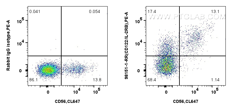 Flow cytometry (FC) experiment of human PBMCs using Anti-Human CD122/IL-2RB Rabbit Recombinant Antibod (98151-1-RR)