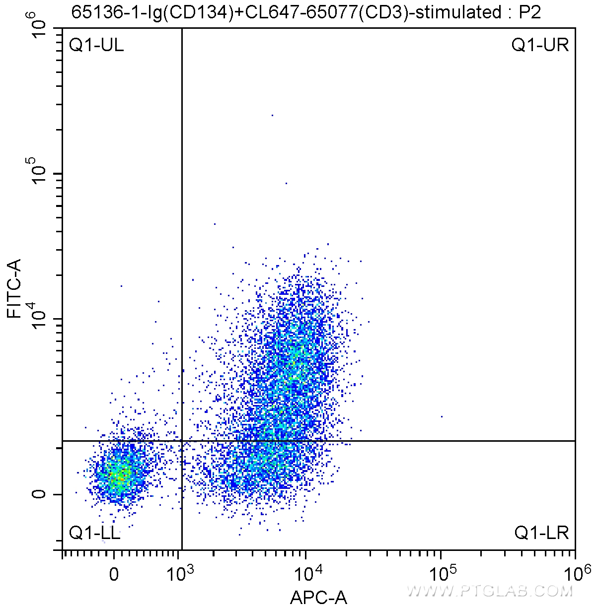 CD134 Rat Monoclonal antibody - United Bio Research