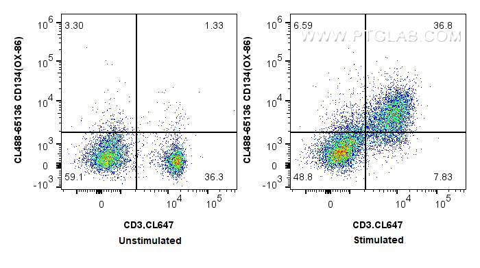 Flow cytometry (FC) experiment of mouse splenocytes using CoraLite® Plus 488 Anti-Mouse CD134 (OX-86) (CL488-65136)