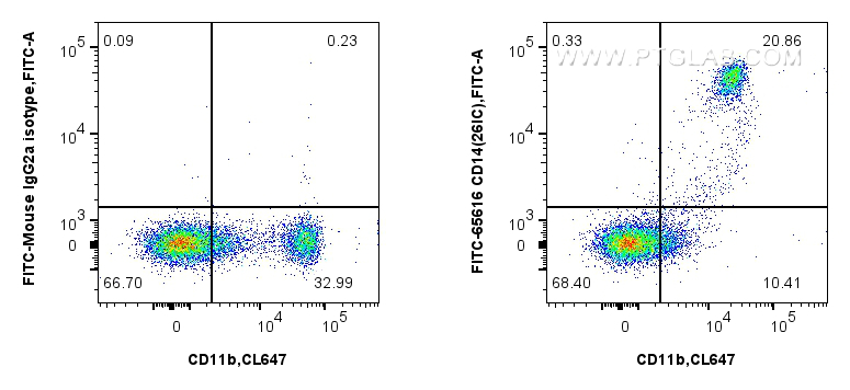 Flow cytometry (FC) experiment of human PBMCs using FITC Plus Anti-Human CD14 (26IC) Mouse IgG2a Recom (FITC-65616)