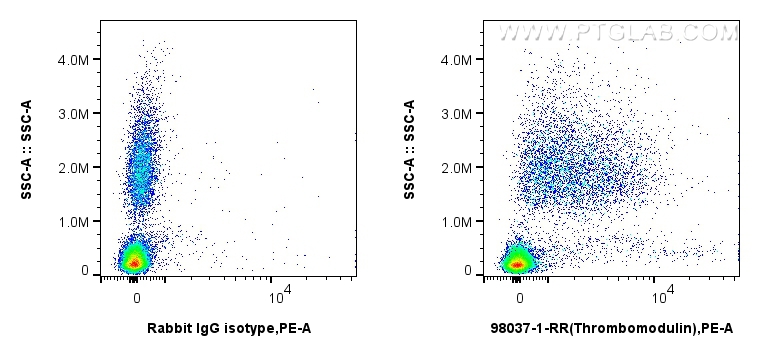 Flow cytometry (FC) experiment of human peripheral blood leukocyte using Anti-Human CD141/Thrombomodulin Rabbit Recombinant (98037-1-RR)