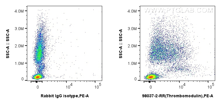 Flow cytometry (FC) experiment of human peripheral blood leukocytes using Anti-Human CD141/Thrombomodulin Rabbit Recombinant (98037-2-RR)