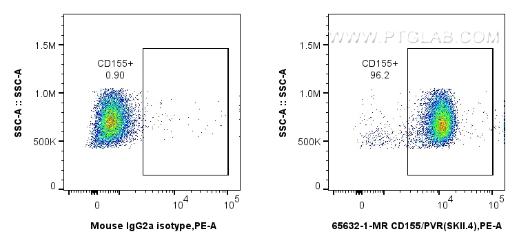 Flow cytometry (FC) experiment of human PBMCs using Anti-Human CD155/PVR (SKII.4) Mouse IgG2a Recombin (65632-1-MR)