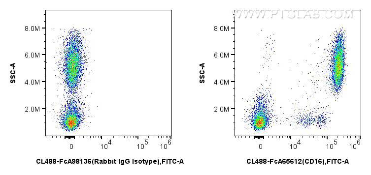 Flow cytometry (FC) experiment of human peripheral blood leukocyte using FcZero-rAb™ CoraLite® Plus 488 Anti-Human CD16 (3G (CL488-FcA65612)