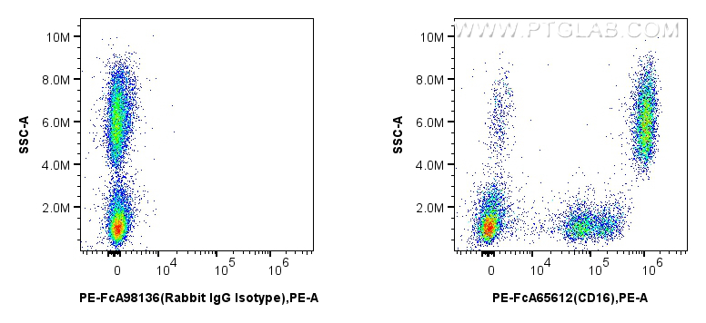 Flow cytometry (FC) experiment of human peripheral blood leukocyte using FcZero-rAb™ PE Anti-Human CD16 (3G8) Rabbit IgG Re (PE-FcA65612)