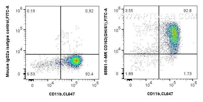 Flow cytometry (FC) experiment of human PBMCs using Anti-Human CD163 (GHI/61) Mouse IgG2a Recombinant  (65561-1-MR)