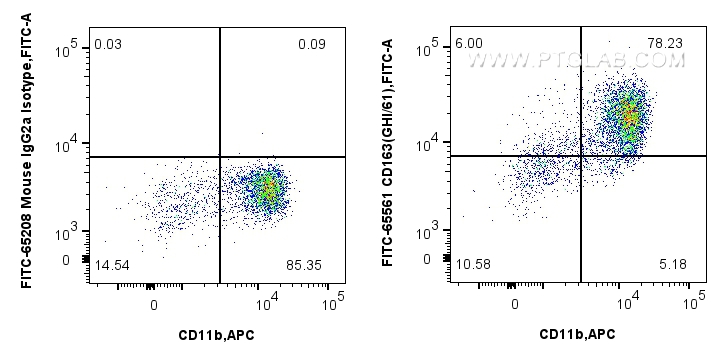 Flow cytometry (FC) experiment of human PBMCs using FITC Plus Anti-Human CD163 (GHI/61) Mouse IgG2a Re (FITC-65561)