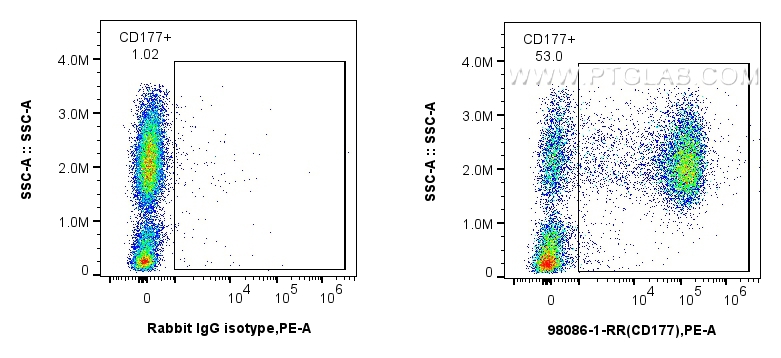 Flow cytometry (FC) experiment of human peripheral blood leukocytes using Anti-Human CD177 Rabbit Recombinant Antibody (98086-1-RR)