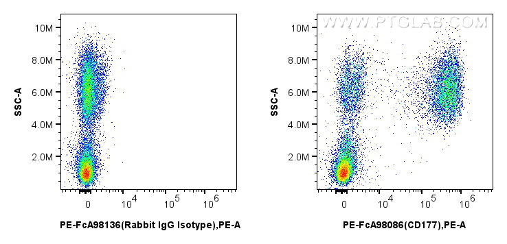 Flow cytometry (FC) experiment of human peripheral blood leukocyte using FcZero-rAb™ PE Anti-Human CD177 Rabbit Recombinant (PE-FcA98086)