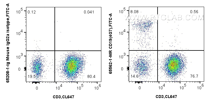 Flow cytometry (FC) experiment of human PBMCs using Anti-Human CD19 (4G7) Mouse IgG2a Recombinant Anti (65562-1-MR)