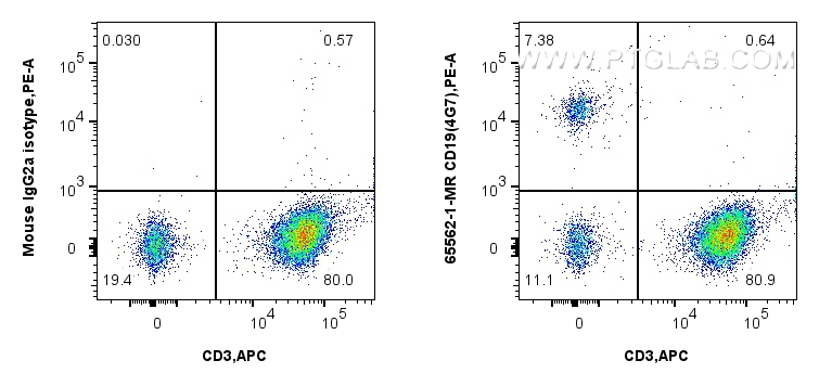 Flow cytometry (FC) experiment of human PBMCs using Anti-Human CD19 (4G7) Mouse IgG2a Recombinant Anti (65562-1-MR)