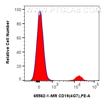 Flow cytometry (FC) experiment of human PBMCs using Anti-Human CD19 (4G7) Mouse IgG2a Recombinant Anti (65562-1-MR)