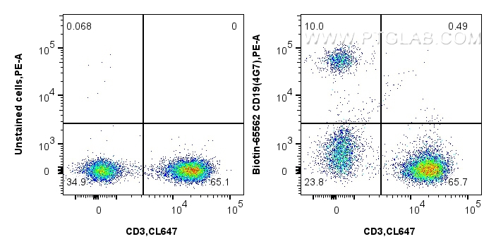 Flow cytometry (FC) experiment of human PBMCs using Biotin Anti-Human CD19 (4G7) Mouse IgG2a Recombina (Biotin-65562)